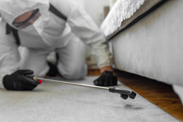Professional Bed Bug Control technician working in Elgin, OK